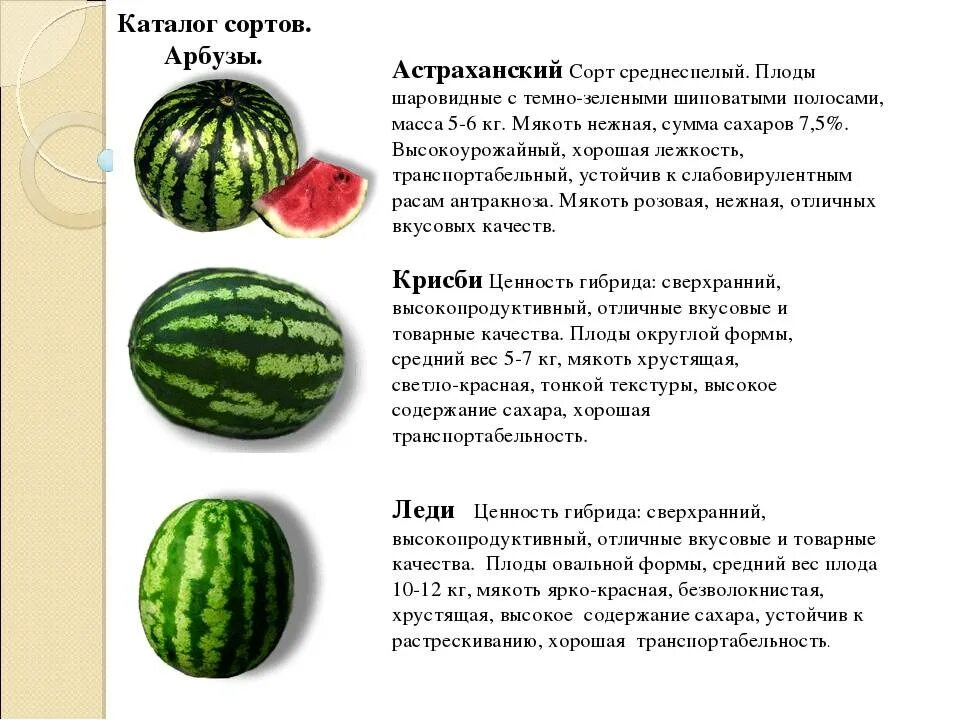 Воспользуйтесь текстом чудо арбузы