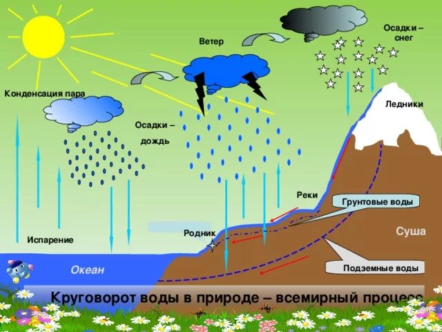 Круговорот воды с подземными водами. Круговорот воды в природе схема. Круговорот воды в природе рисунок. Круговорот воды в природе осадки. Смена температуры действие воды ветра разрушают горные