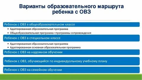 Дети с овз дорожная карта
