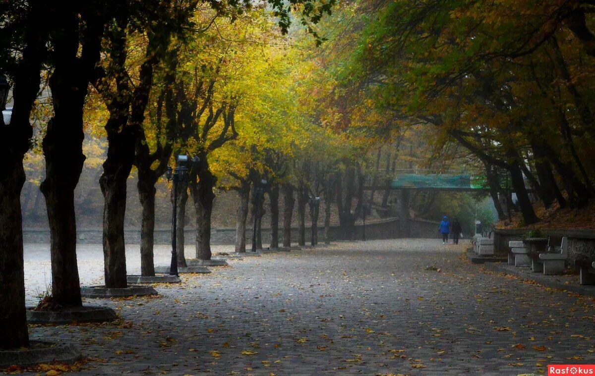 Терренкур Железноводск. Железноводск осень. Железноводск осенью. Госпитальный терренкур в Железноводске. Железноводск октябрь