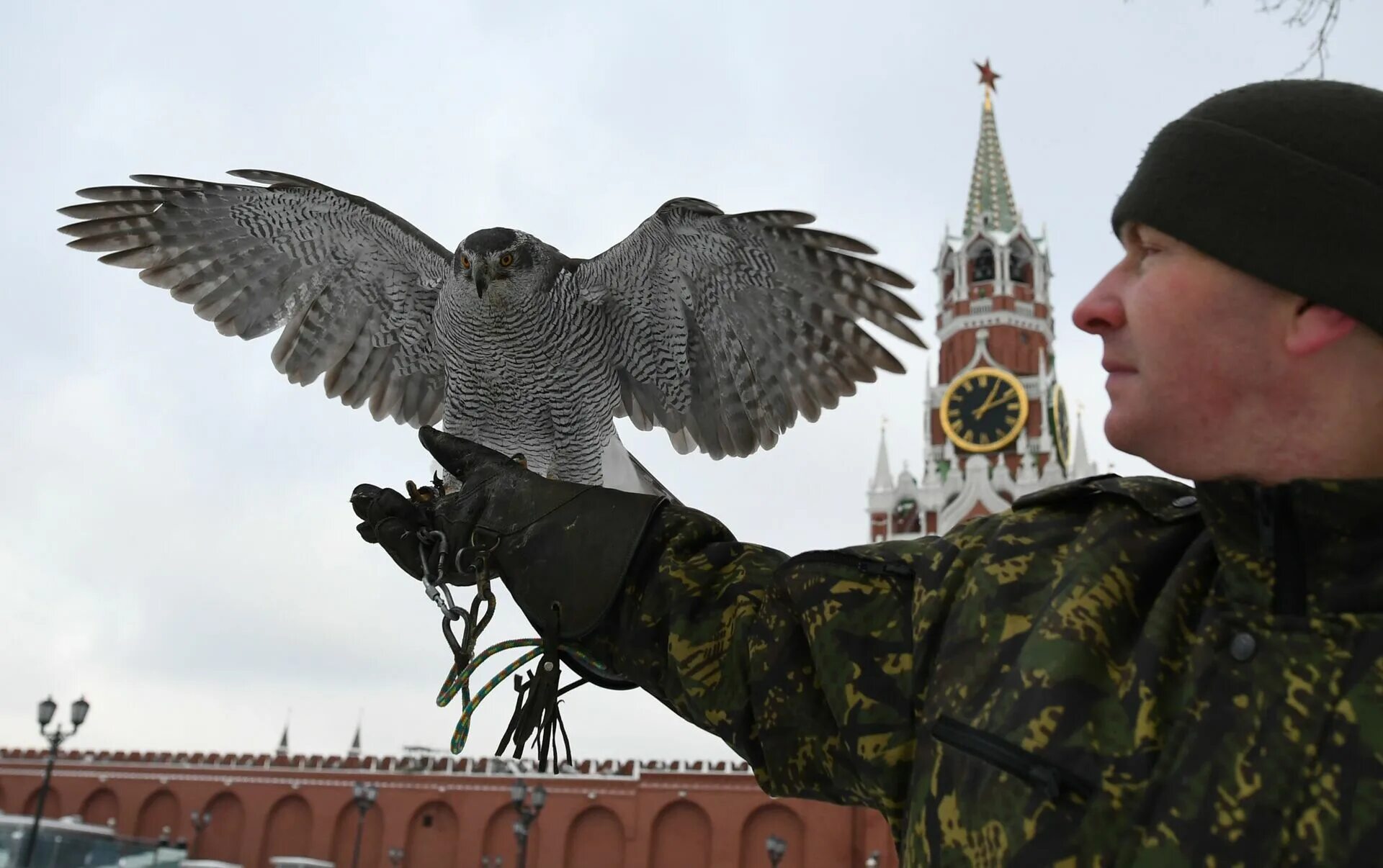 Шеврон комендатуры. Комендатура орла. Комендатура севастополь военная. Соколиная служба кремля. Шеврон нашивка военная комендатура г.