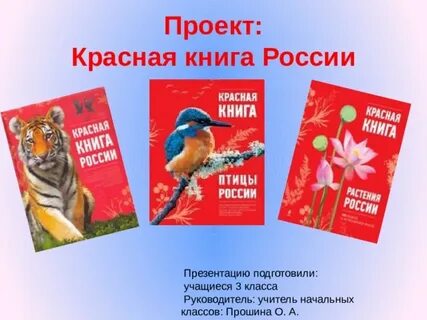 Русский проект красный