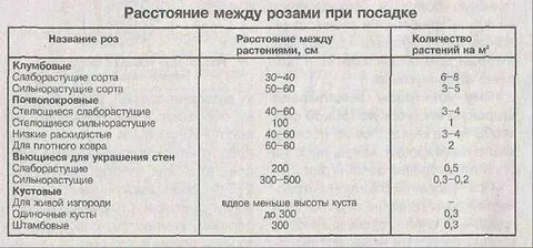 Расстояние посадки фруктовых деревьев