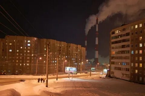 Домашнее мурманск