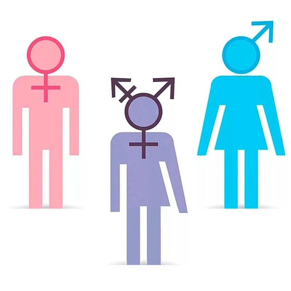 У человека есть пол. Ориентация мужчина и женщина. Пол гендер и ориентация. Женский мужской и средний гендер. Человеческой пол женщины.