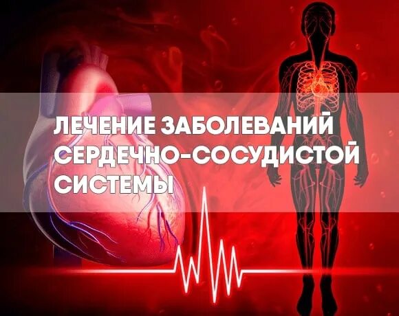 Опорно двигательный и сердечно сосудистый санаторий. Санатории по реабилитации опорно-двигательного аппарата. Опорно двигательный и сердечно сосудистый санаторий. Бэс-чагда санаторий в подмосковье. Оздоровительные услуги.