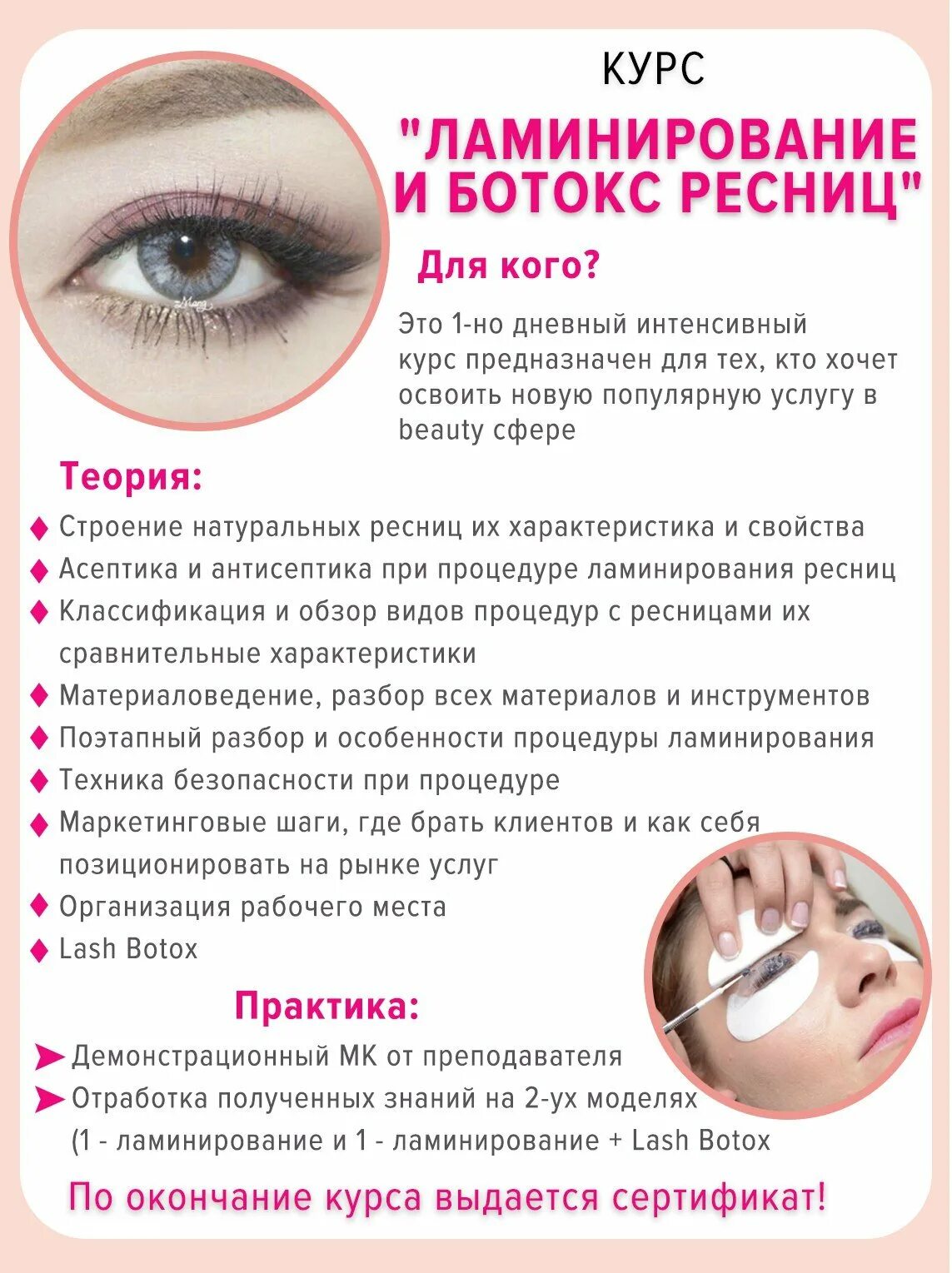 Схемы нанесения составов для ламинирования ресниц фото и видео - avRussia.ru