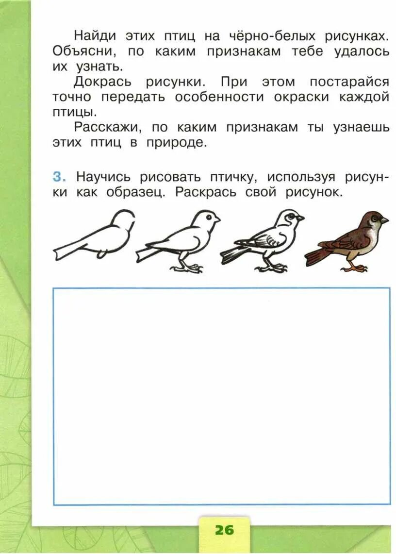 Задания про птиц 1 класс. Задание по окружающему миру 1 класс птицы. Кто такие птицы 1 класс задания. Задания по окружающему миру птицы.