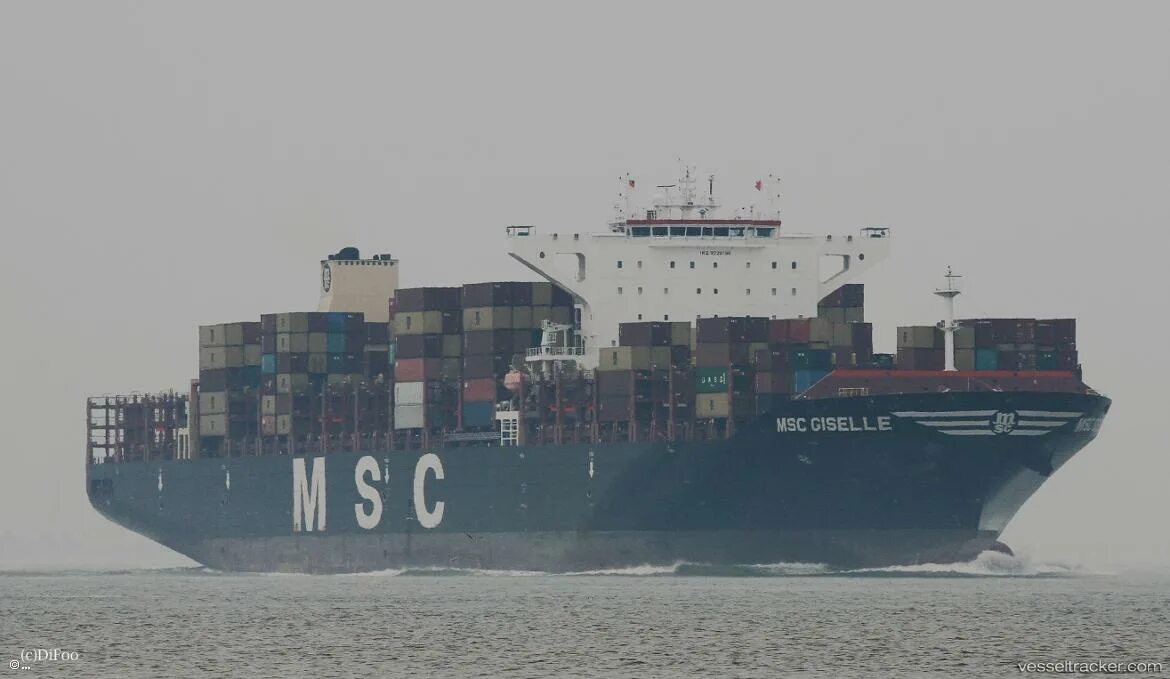 Msc for me. Msc container vessel. судно msc julia. msc sao paulo vessel. msc lea судно.