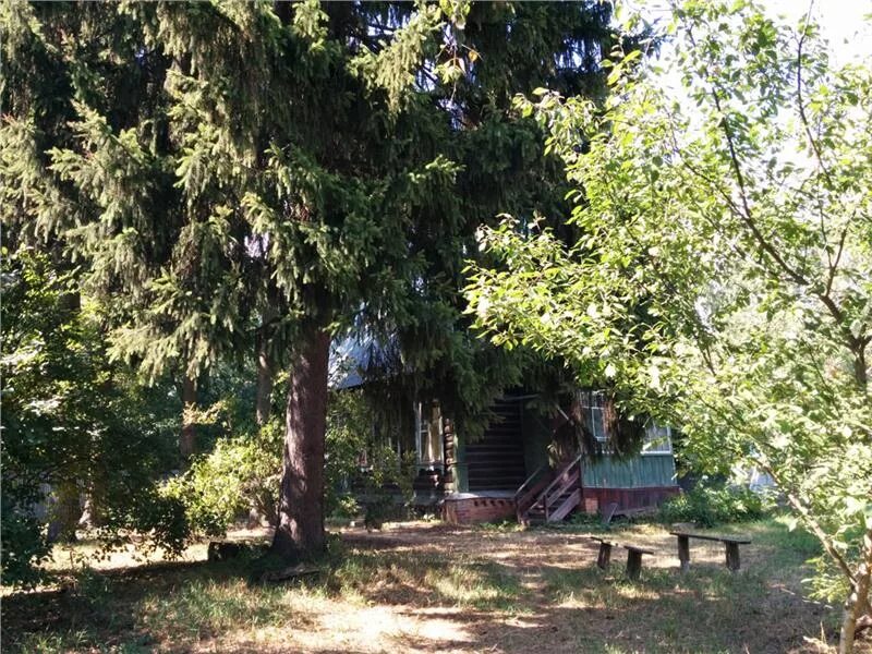 грин парк салтыковка. Pobierowo польша. никольско-архангельский храм в балашихе. грин парк салтыковка. жк салтыковка-престиж балашиха фонд.