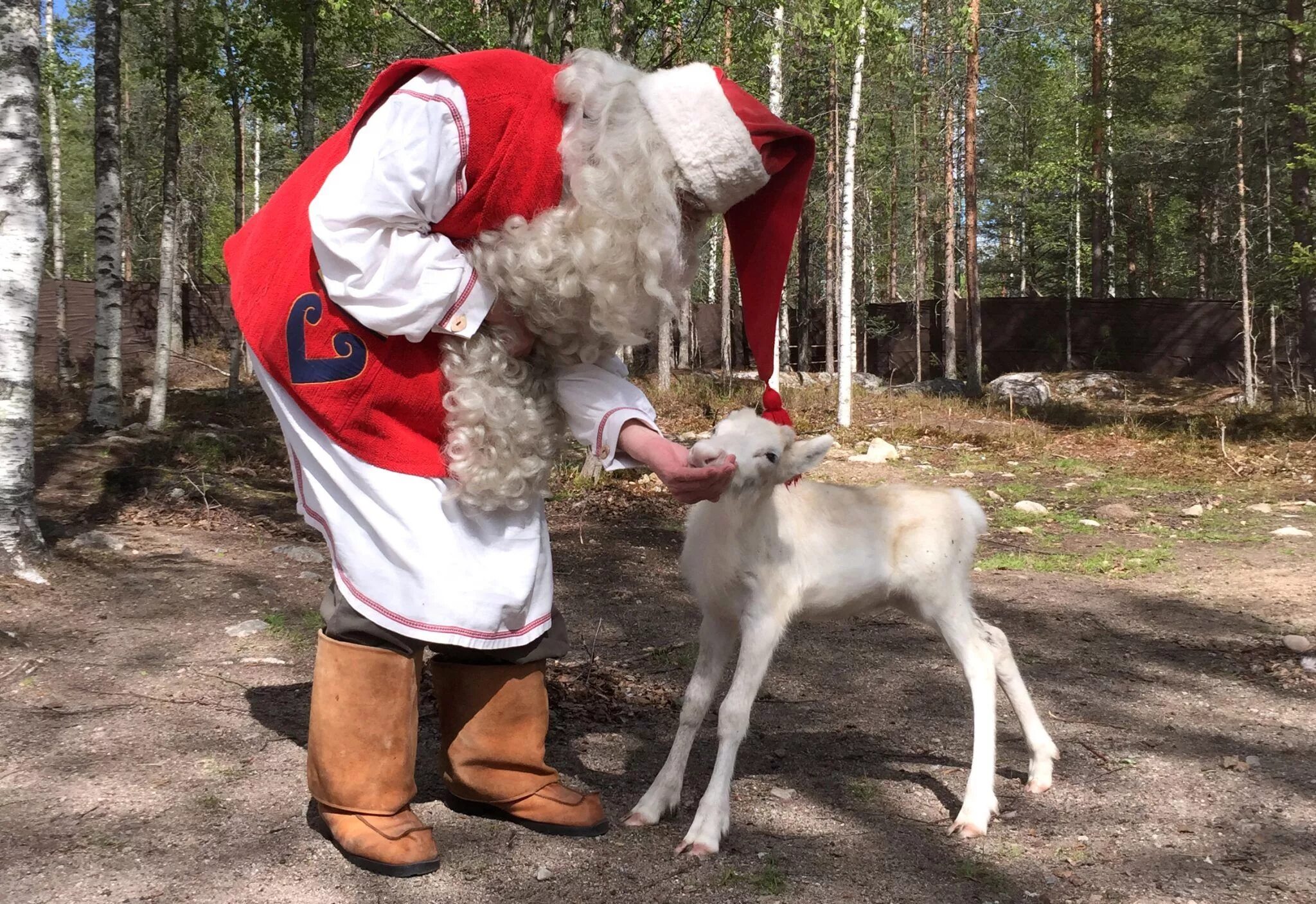 Лапландия деревня Санта Клауса эльфы. Финский йоулупукки. Лапландия Финляндия йоулупукки.