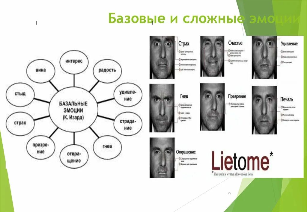 Выберите сложные эмоции. Базовые эмоции человека. Базовые эмоции человека список. Основные чувства и эмоции человека. Сложные эмоции человека.