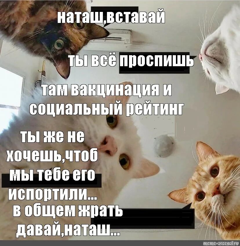 Разбудите летом. Ты опять проспал все лето нафиг. Ты опять проспал все лето. Ты опять проспал все лето нахер на английском. Песня ты проспал все лето без матов.
