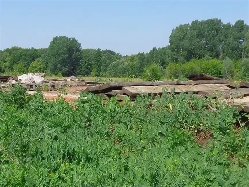 Село никольское первомайский тамбовская. Село никольское первомайский тамбовская. Село малый избердей тамбовская область. Село никольское первомайский тамбовская. Омская область село знаменское школа.