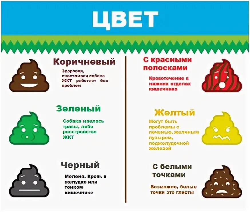 Кал темный почему у взрослого причины. Нормалныйцвет кала у взрослого. Нормальный цвет кала у взрослого. Калл цвета нормальный кал. Норамальный цвету кала.