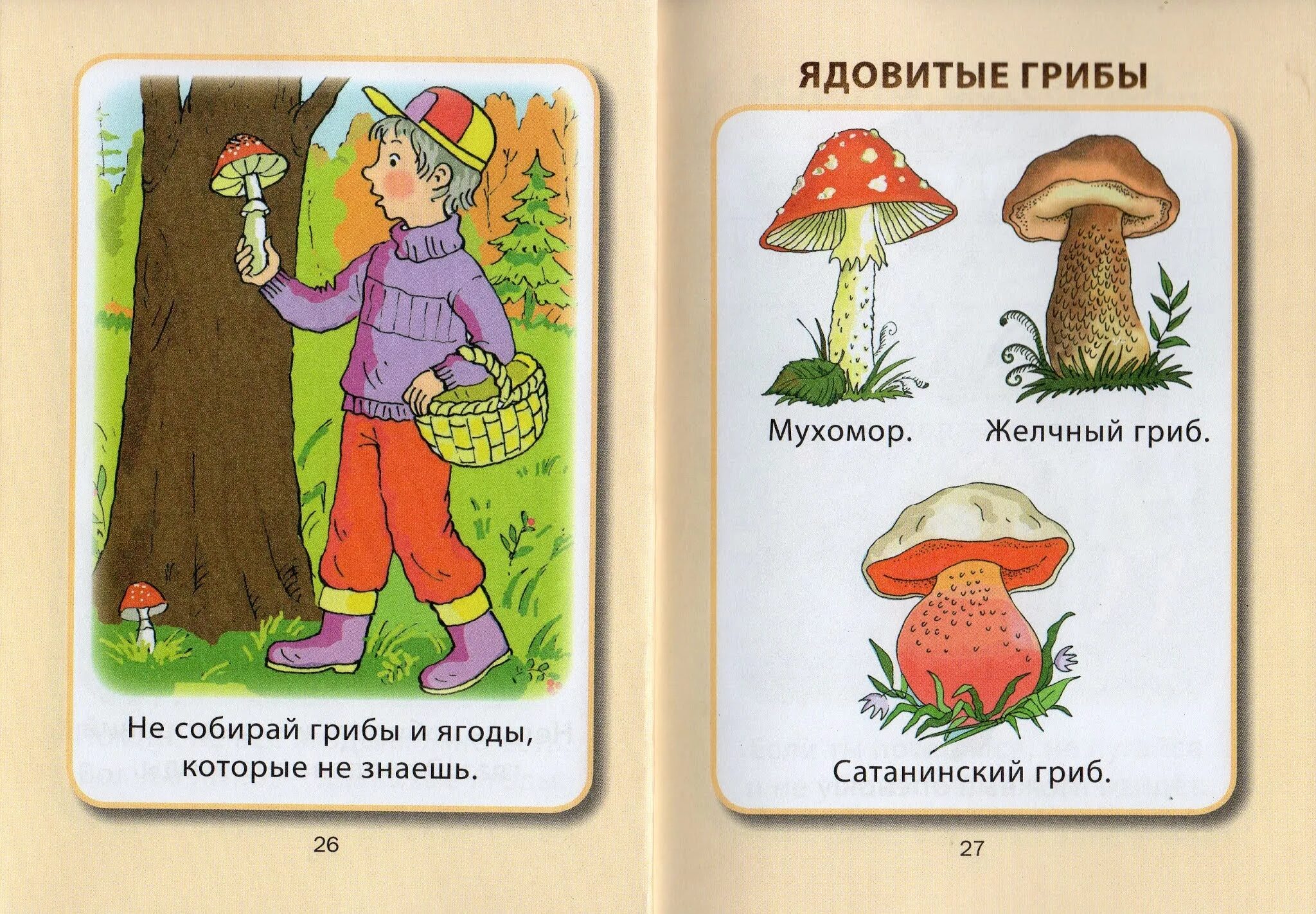 Знак нельзя собирать грибы. Ядовитые грибы во дворе. Ядовитые грибы картинки для детей. Не ешьте ядовитые грибы. Знак ядовитые грибы.
