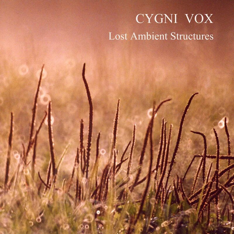 Лучший ambient. Ambient картинки. альбом treasure эмбиент. ambient photo качественные. too much ambient.