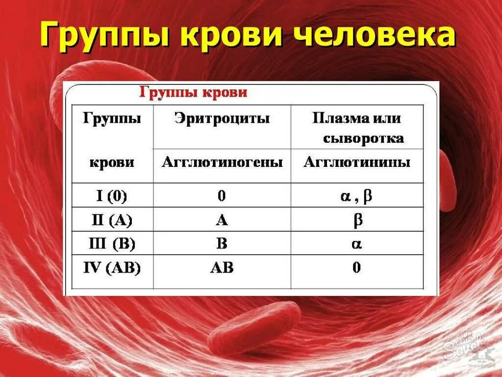 Какие группы имеют группы. A2b группа крови. Антитела плазмы 1 группы крови. Rh 2 группа крови. Группа крови 2 положительная обозначение.