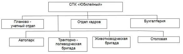 Функции спк. Функции спк
