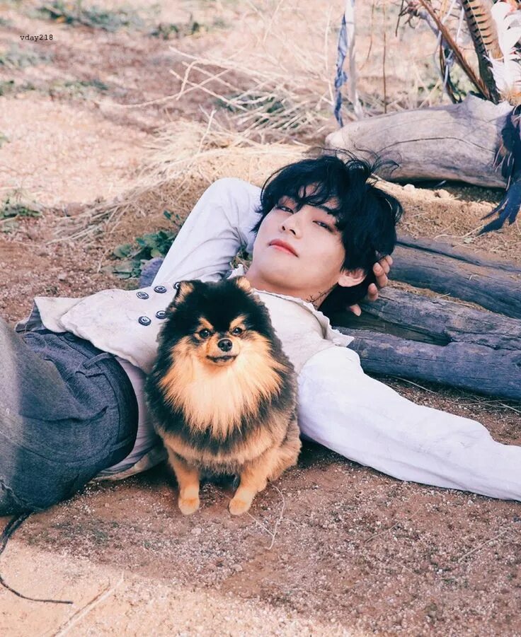 Собаки бтс. Taehyung yeontan. Ентан БТС. Питомцы БТС Ентан.