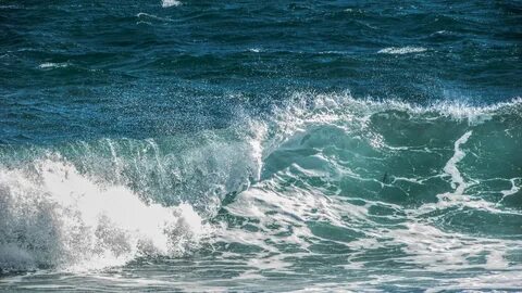 Есть ли сегодня волны на море