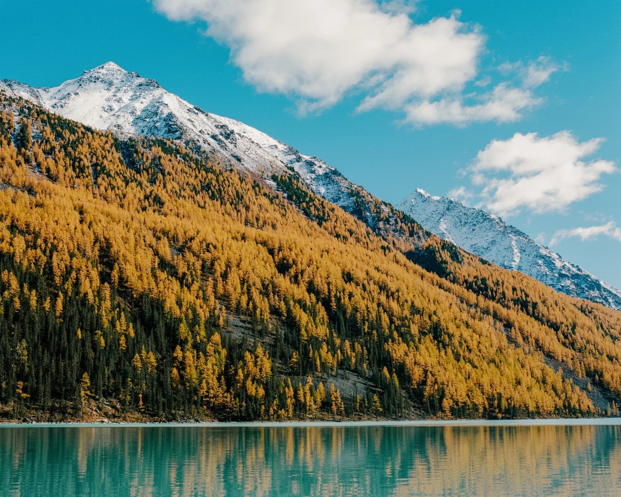 Кучерлинское озеро. Кучерлинские озёра, Алтай. Кучерлинское озеро горный Алтай. Озеро Кучерлинское осень. Кучерлинское озеро осенью.