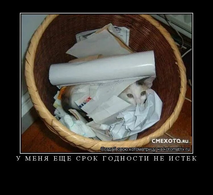 месть масамуне аки адагаки. весь в делах великий государь аки пчела. весь в трудах и заботах аки пчела. иван васильевич меняет профессию фото. осенняя мелодия аниме.