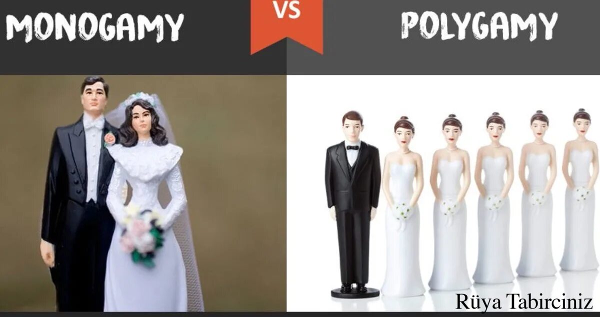 Моногамный тип. Моногамный тип. Моногамный тип. Моногамный тип. Виды семьи по форме брака.