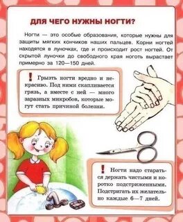 Вопросы детям про детский сад