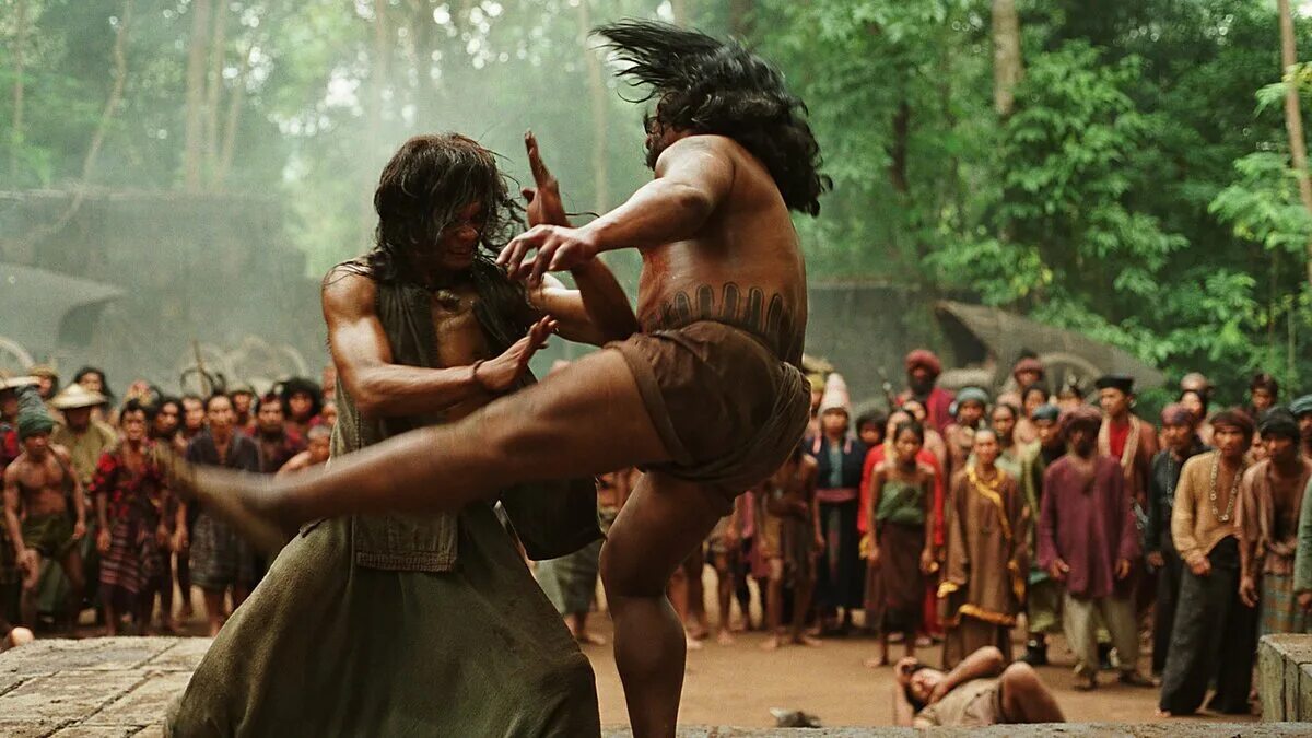 ип ман мастер кунг-фу. запретное царство джеки чан и джет ли. гнев ваджра ярость ваджра the wrath of vajra (2013). ип ман китай. бесстрашный кунг фу 2008.