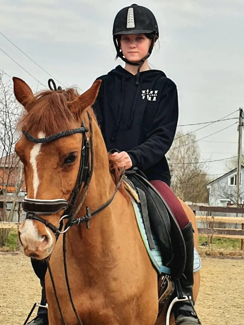 Памятники в бронницах. Бронницы парк пушкина. Бронницы лошади. Спортивные лошади. Бронницы центр города.