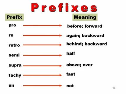 Loyal prefix