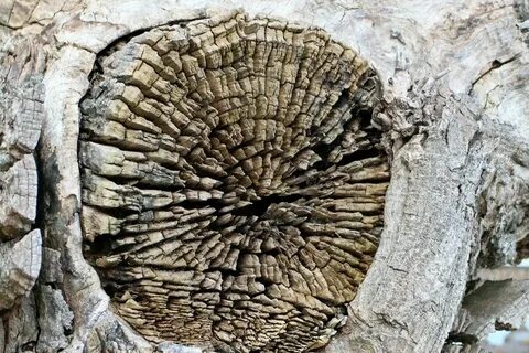 Hole log