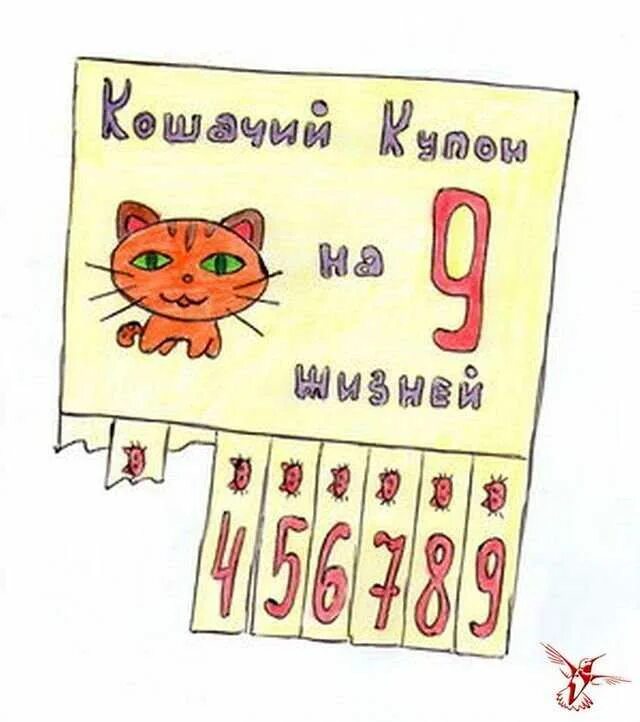 Кошке 9