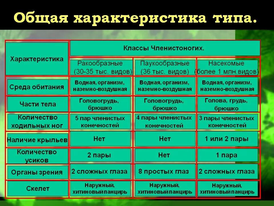 Насекомые сходства и различия. Общая характеристика типа Членистоногие таблица биология. Сравнительная характеристика класса типа членистоногих таблица. Биология 7 класс Тип Членистоногие класс ракообразные таблица. Признаки ракообразных паукообразных насекомых таблица.