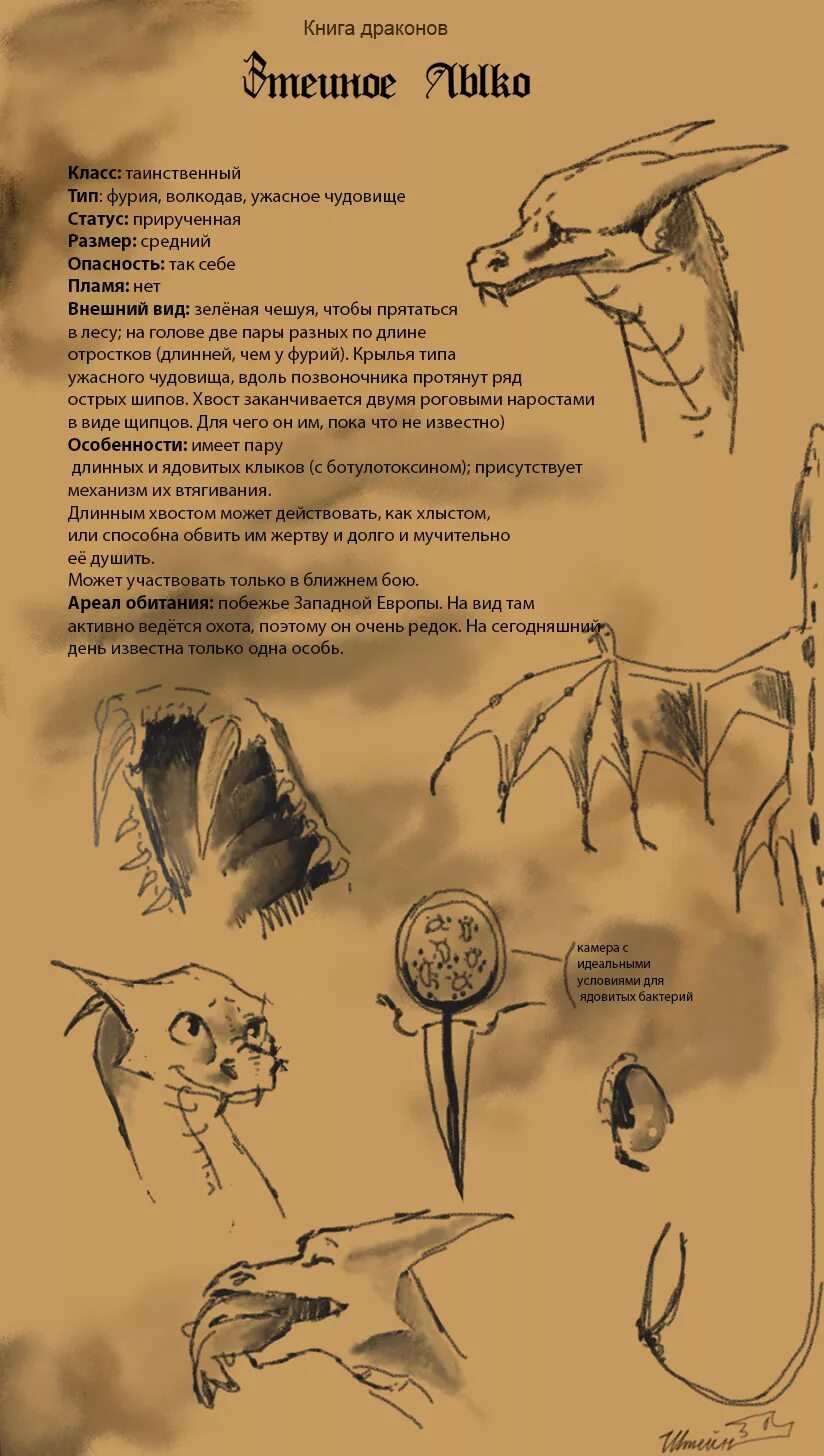 Дракон в беде комикс. Как приручить дракона комиксы. Как приручить дракона комиксы на русском. Драконы как приручить дракона комиксы. Дракон комикс.