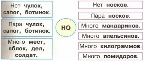 2 формы слова чулок