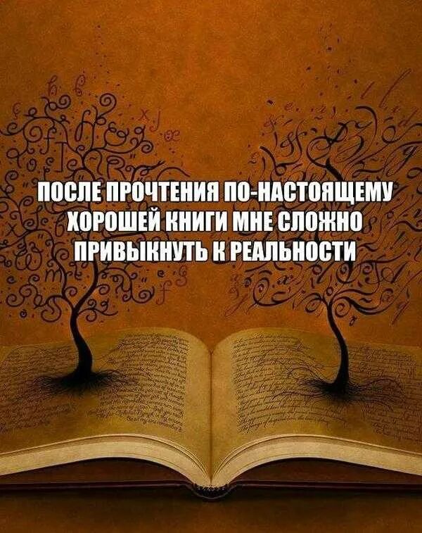 2 цитаты о книге. Цитаты про книги. цитаты о книгах и чтении. афоризмы про книги. высказывания о книгах.