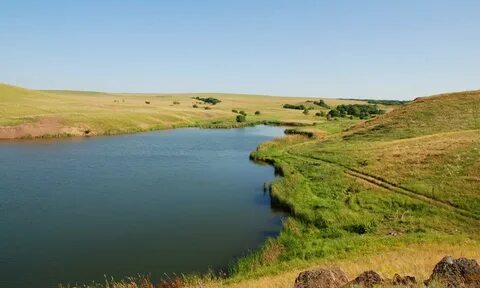 В луганском государственном заповеднике