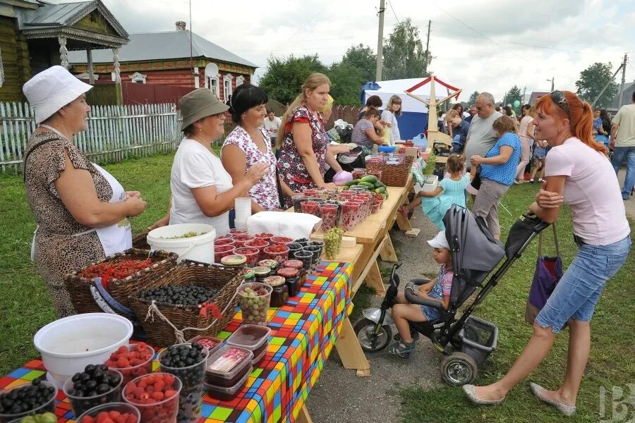 Погода село новоселки. Фестиваль малина Рязанская область. Фестиваль малины Рязань 2022. Гастрономический фестиваль малина Рязань. Новоселки Рязанская область фестиваль малина.