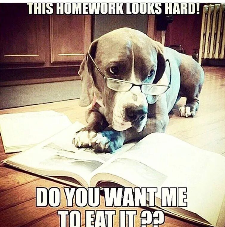 Do you want eat