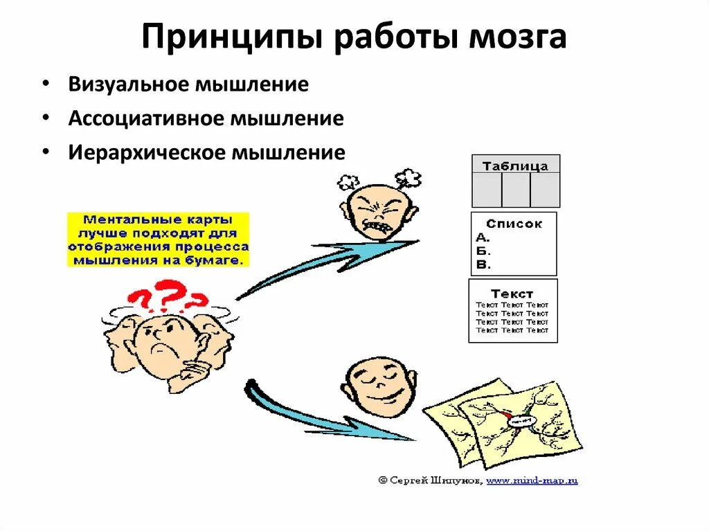 Принципы деятельности мозга. Принципы работы мозга. Основные принципы работы мозга. Принципы работы мозга человека. Теории работы мозга.