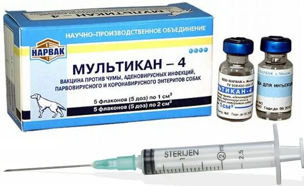 Инструкция вакцины мультикан 4. Мультикан-4 для собак. Мультикан-8. Вакцина для собак мультикан 5 доз.