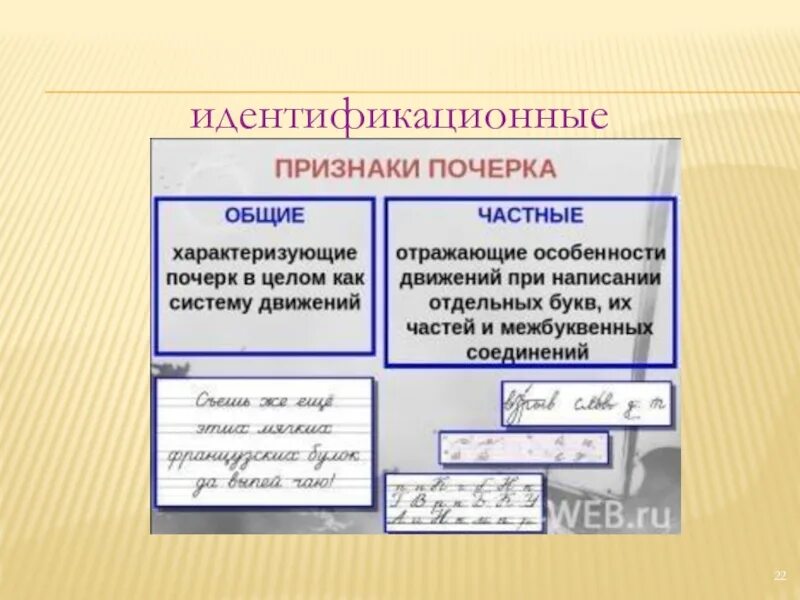 Группы частных признаков. Идентификационные признаки почерка. Общие и частные признаки почерка. Классификация общих признаков почерка. Признаки почерка в криминалистике.