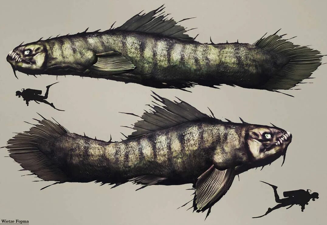 Fish creature. Рыбы фэнтези. Рыба монстр арт. Концепт арты рыбы.