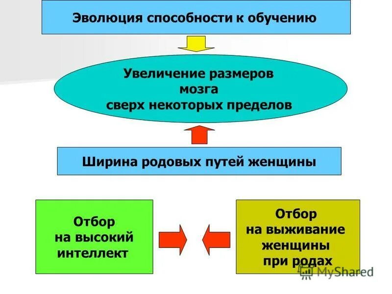 Способны к эволюции