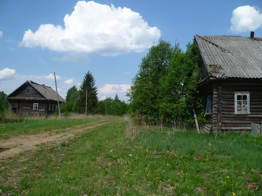 Новгородская область поселок хвойнинское. Деревня Бережок Хвойнинского района. Хвойнинский район Новгородская область. Новгородская деревня Хвойнинский район. Деревня Орел Хвойнинского района Новгородской области.