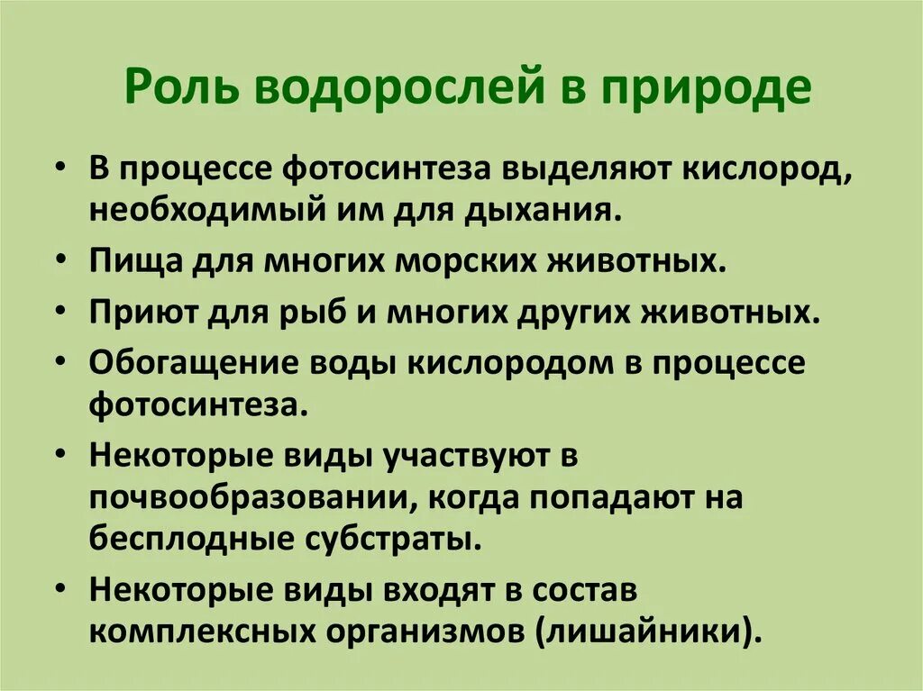 Роль водорослей в лишайнике. Роль водорослей в природе и жизни человека 5 класс биология. Роль водорослей в природе 5 класс биология. Роль водорослей в природе 5 класс. Значение водорсой ла в природе.