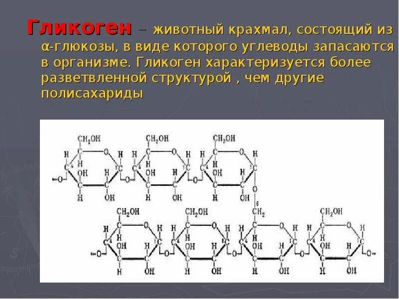 Какую функцию в организме выполняет крахмал. Амилоза полисахарид. Крахмал гликоген Целлюлоза хитин. Разветвленная структура углеводов. Хитин гликоген крахмал.