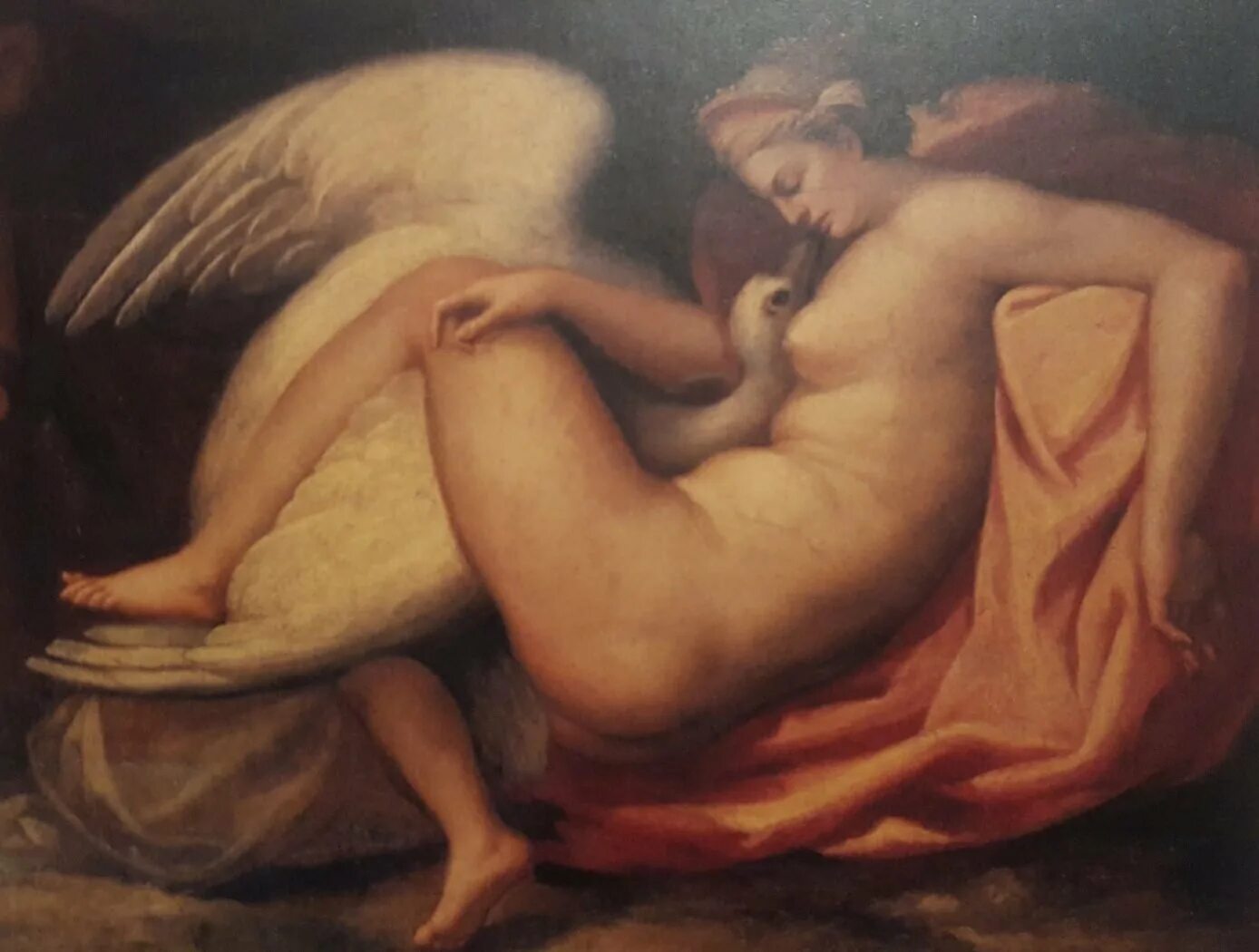 Леда дом. Леда и лебедь микеланджело. леда и лебедь франсуа буше 1740. леда и лебедь картина буше.